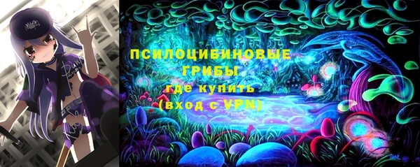 дживик Краснотурьинск